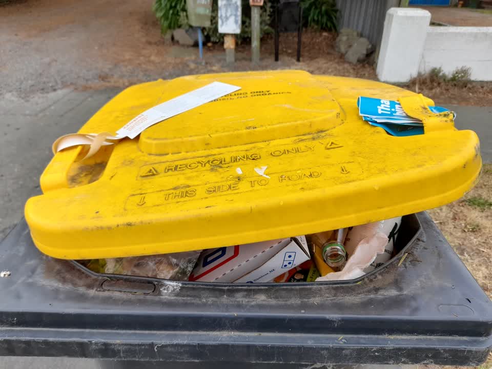 The photograph attached to this rubbish/recycling report