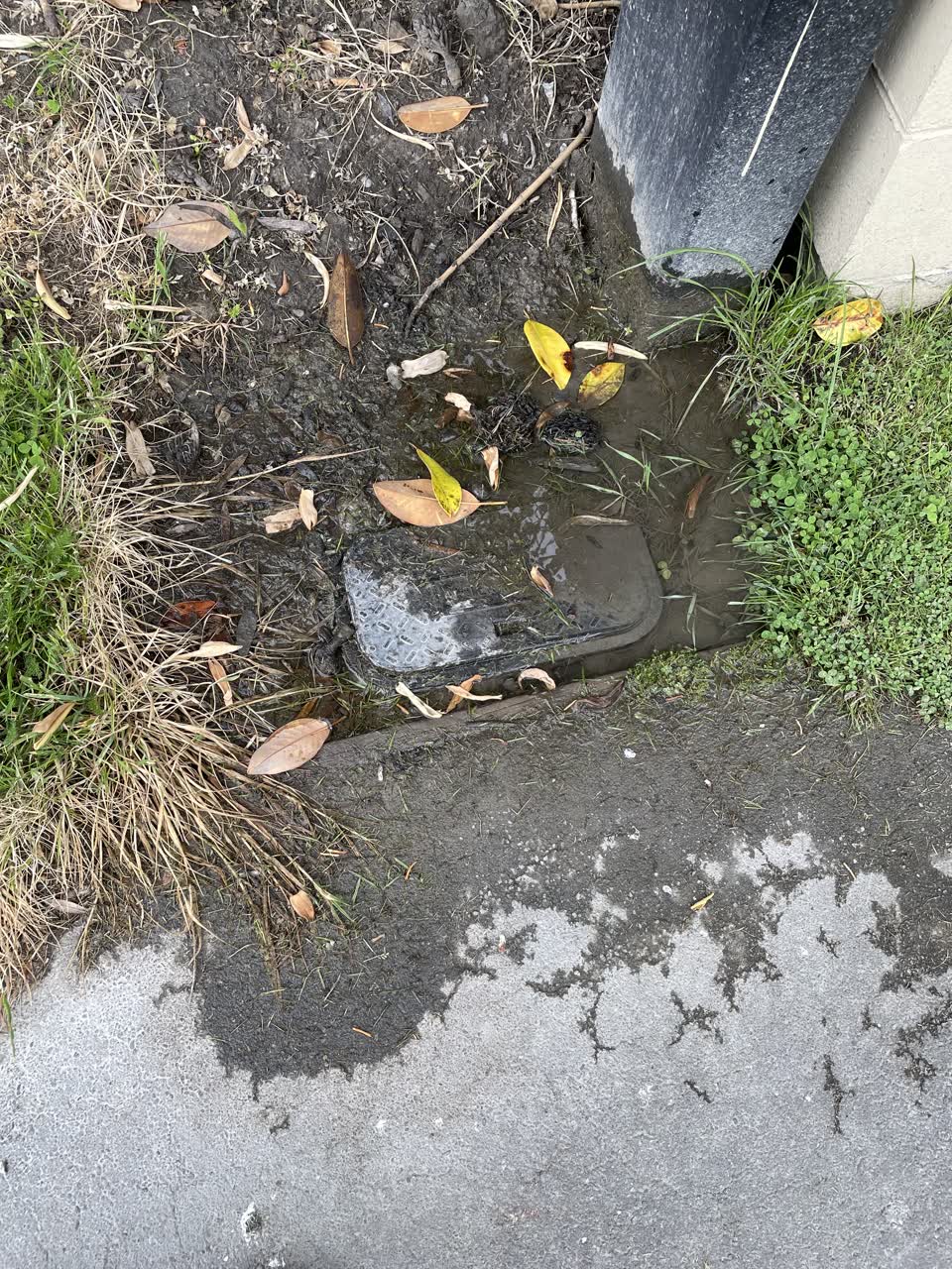 The photograph attached to this water leak report