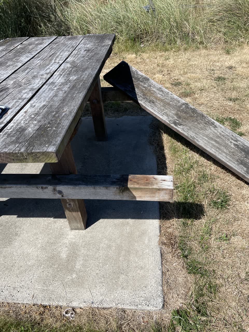 The photograph attached to this parks report