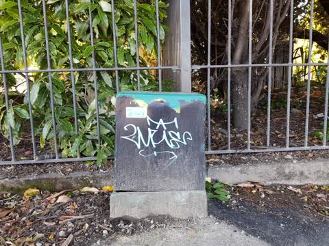 Graffiti, a report photo