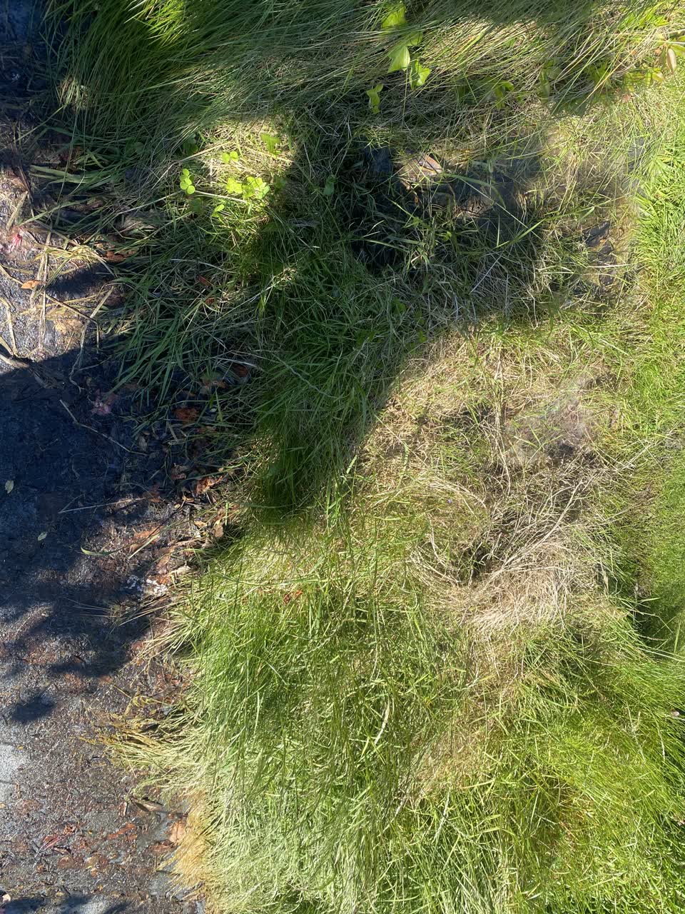 The photograph attached to this water leak report