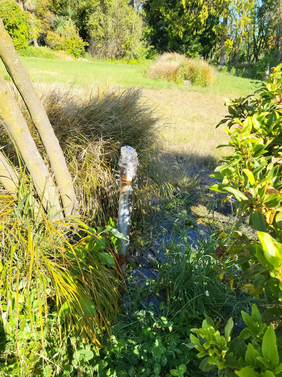 The photograph attached to this water leak report
