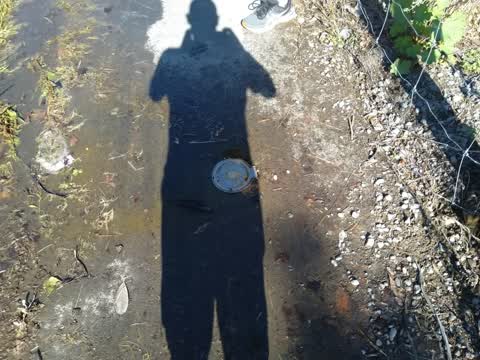 Water Leak, a report photo