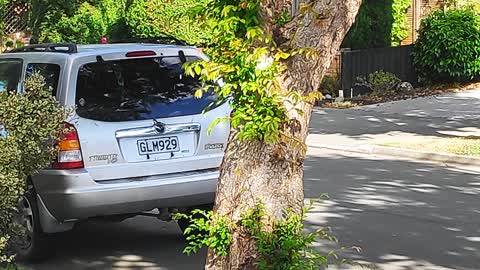 Roading/Streets, a report photo
