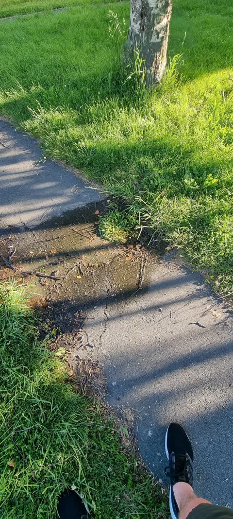 Water Leak, a report photo