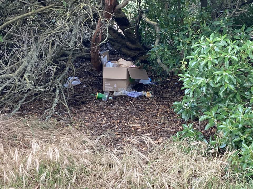 The photograph attached to this rubbish/recycling report