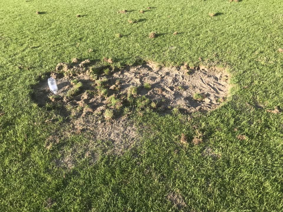 The photograph attached to this parks report