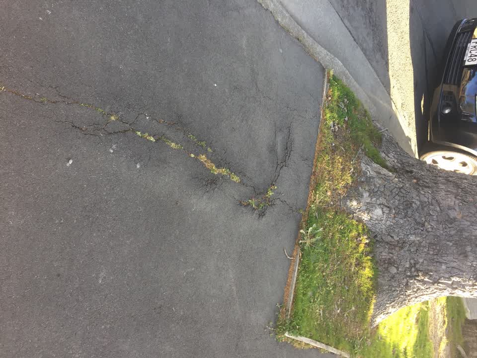 The photograph attached to this roading/streets report