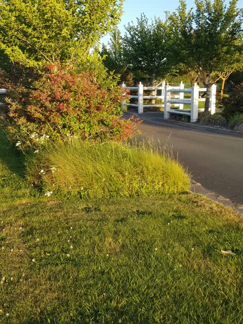 Parks, a report photo
