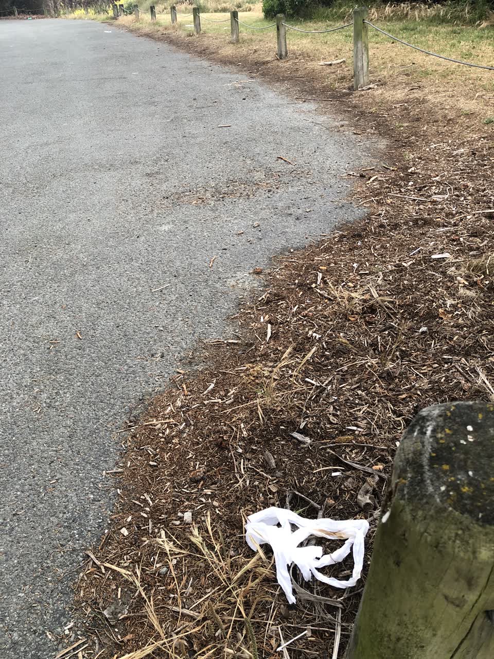 The photograph attached to this parks report