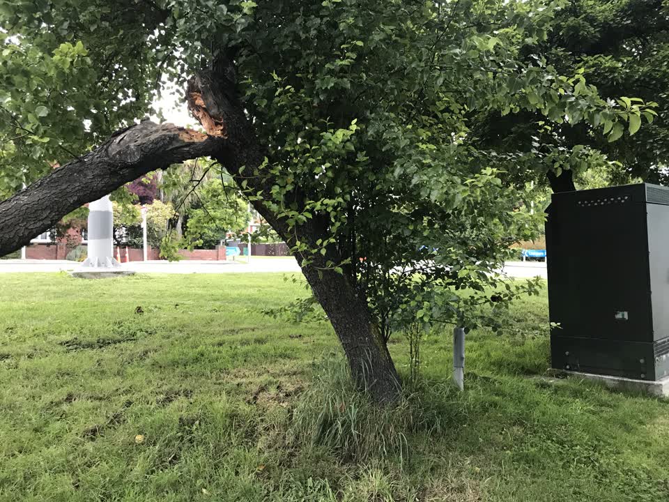 The photograph attached to this parks report