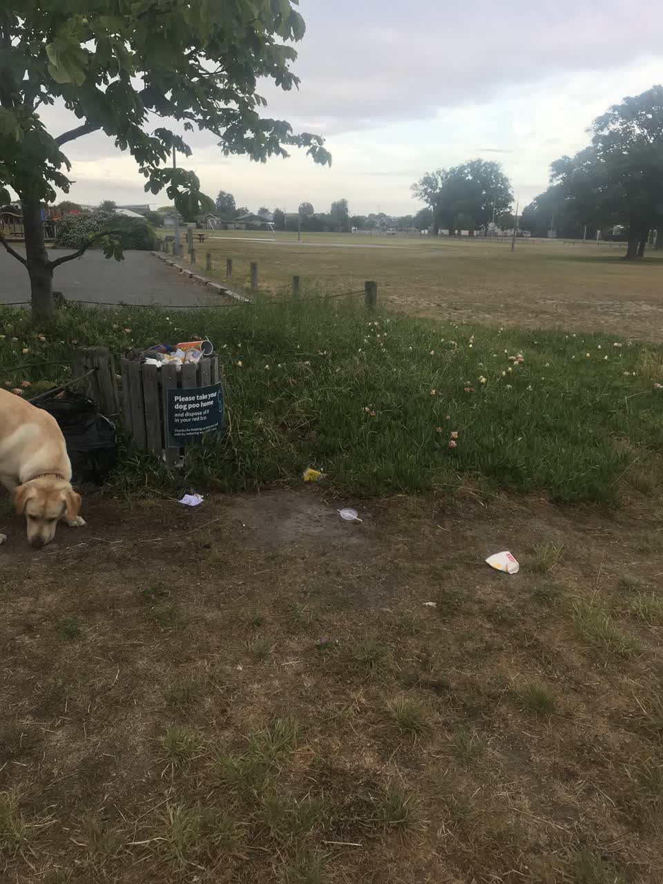 The photograph attached to this rubbish/recycling report