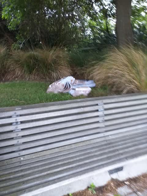 Rubbish/Recycling — a report photo