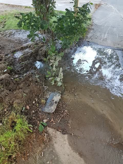 Water Leak, a report photo