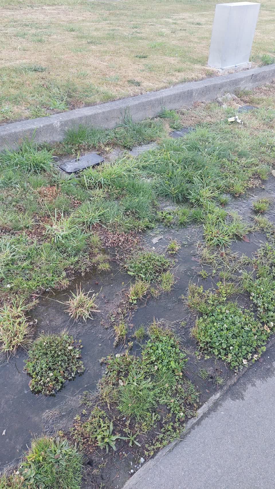 The photograph attached to this water leak report