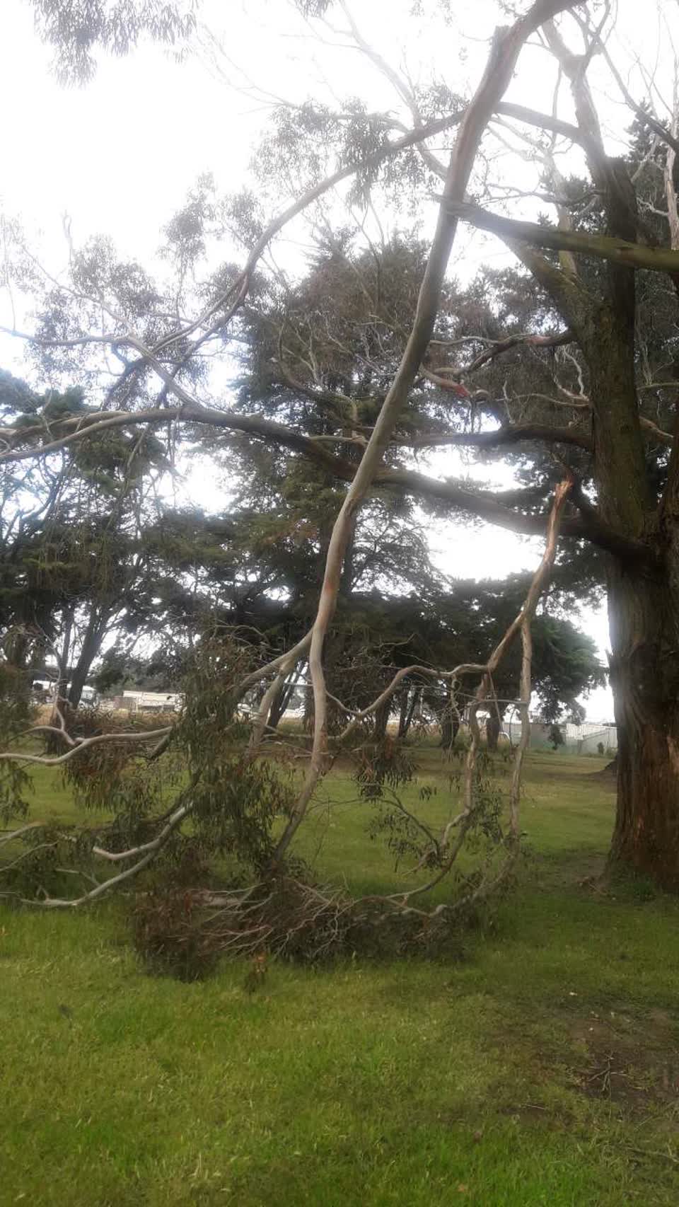 The photograph attached to this parks report