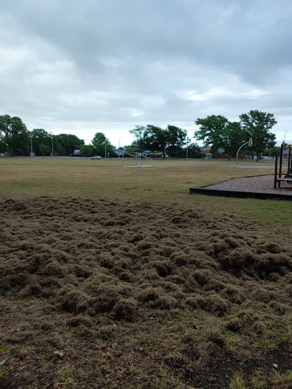 The photograph attached to this parks report