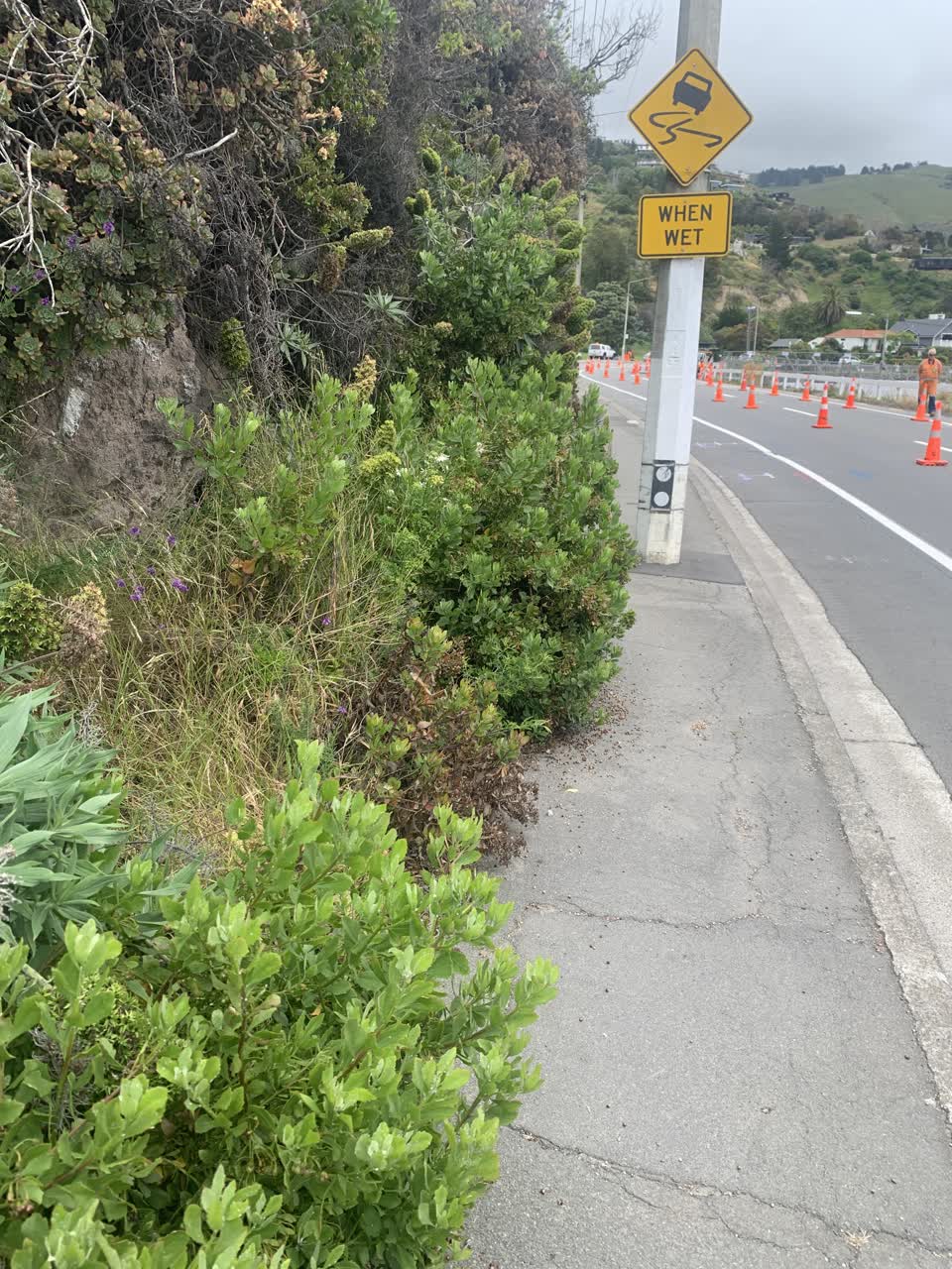 The photograph attached to this parks report