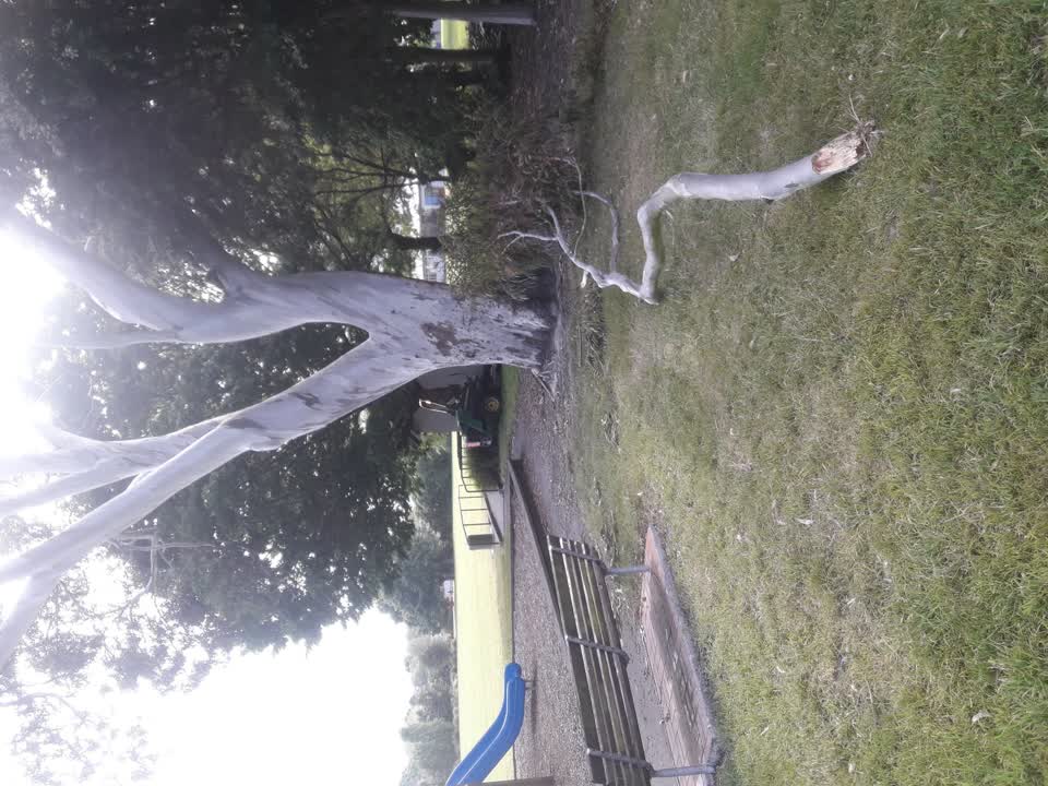 The photograph attached to this parks report