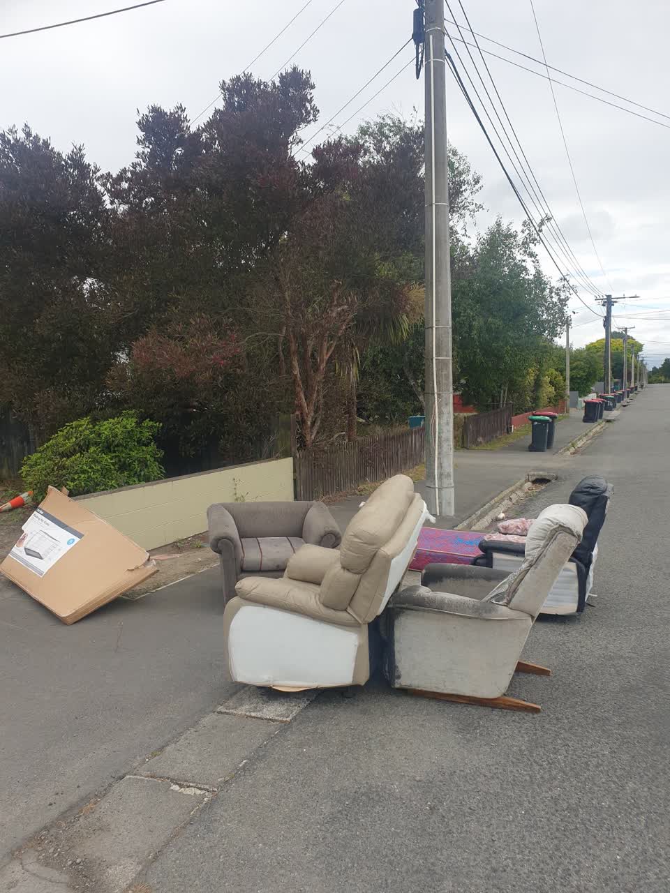 The photograph attached to this rubbish/recycling report