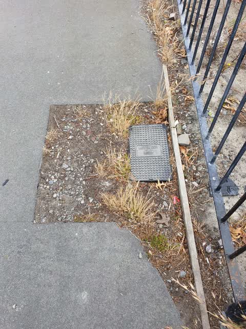 Roading/Streets, a report photo