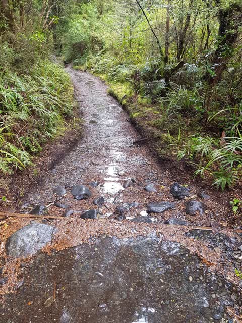 Rubbish/Recycling, a report photo
