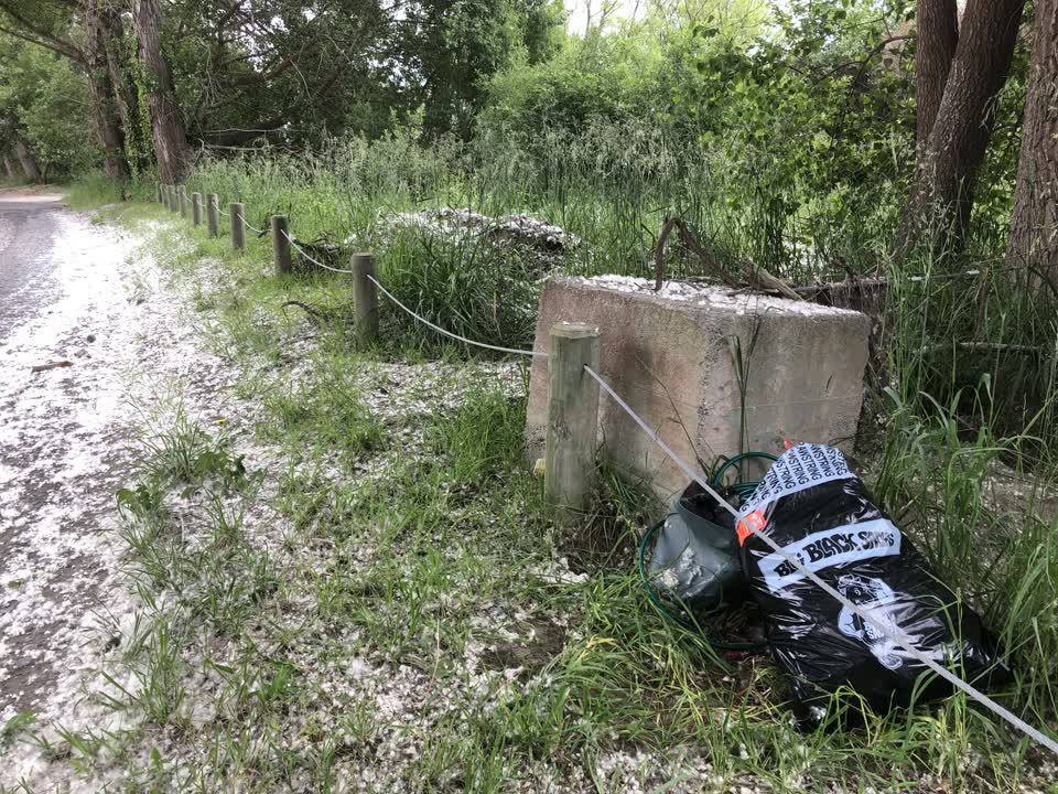 The photograph attached to this parks report