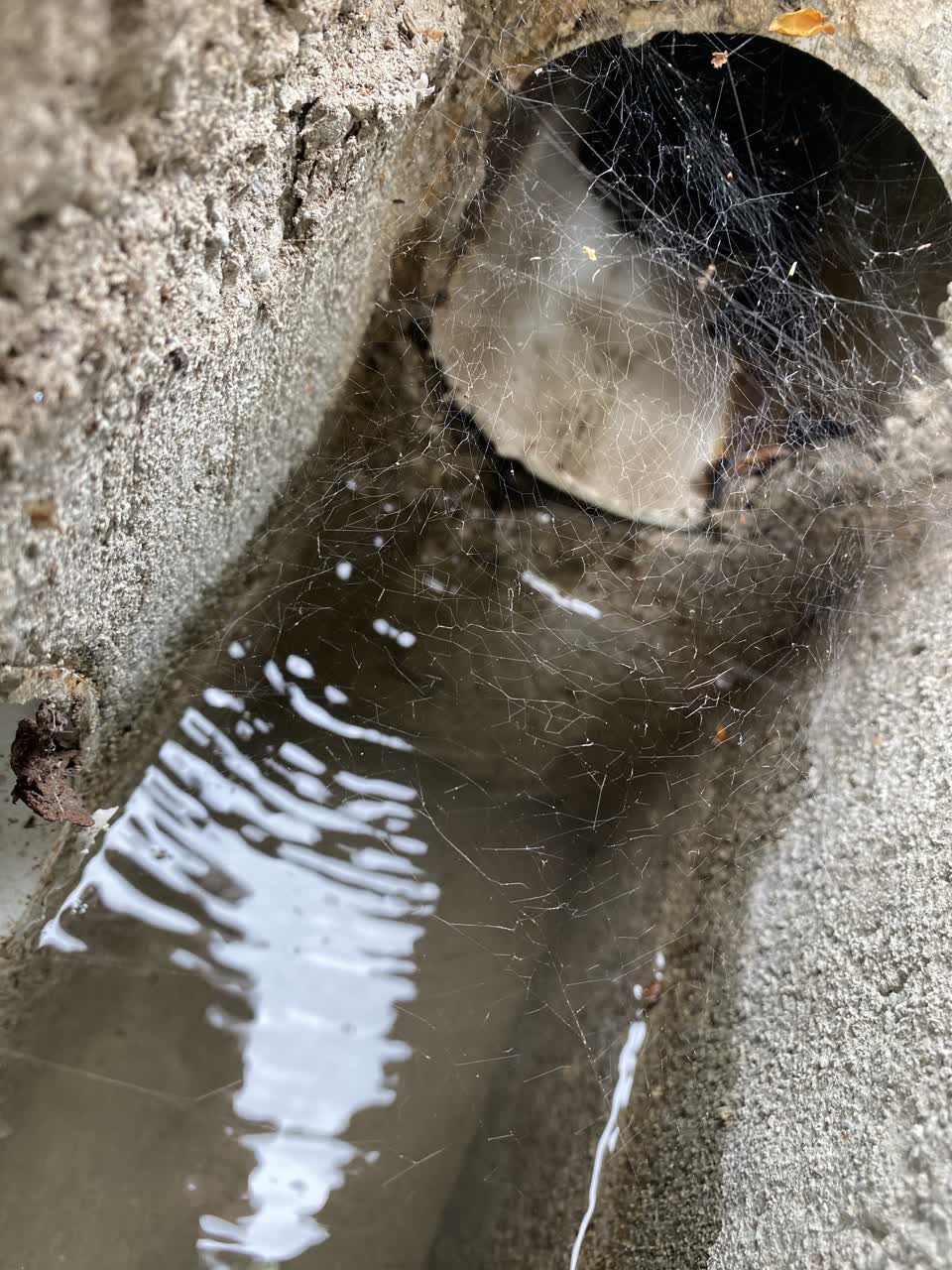 The photograph attached to this water leak report