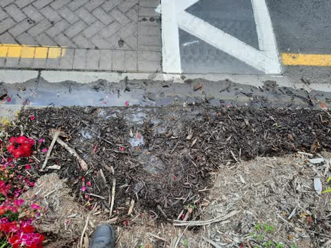 Water Leak, a report photo