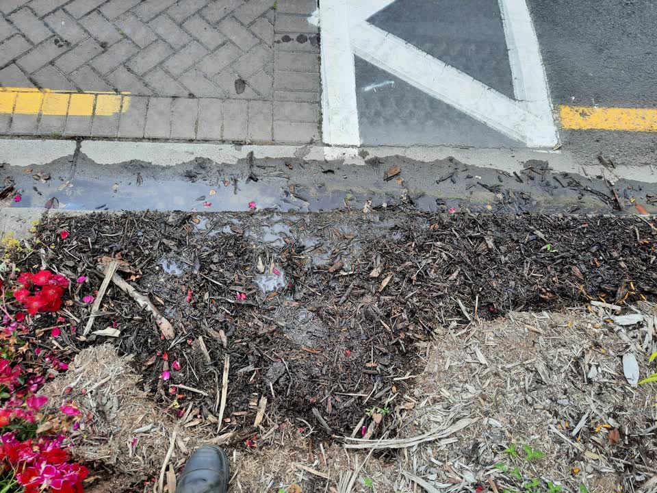 The photograph attached to this water leak report