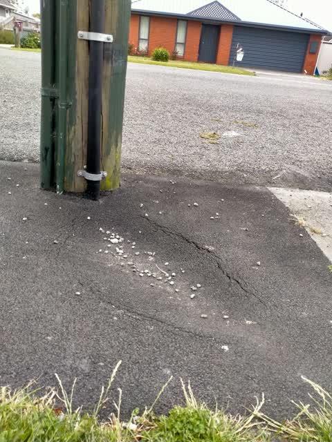 Roading/Streets, a report photo