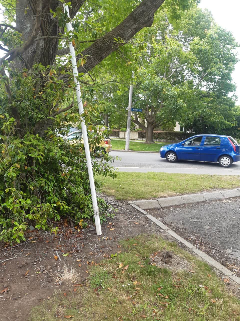 The photograph attached to this parks report