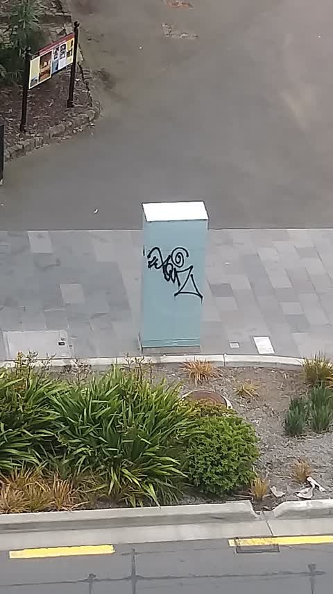 Graffiti, a report photo