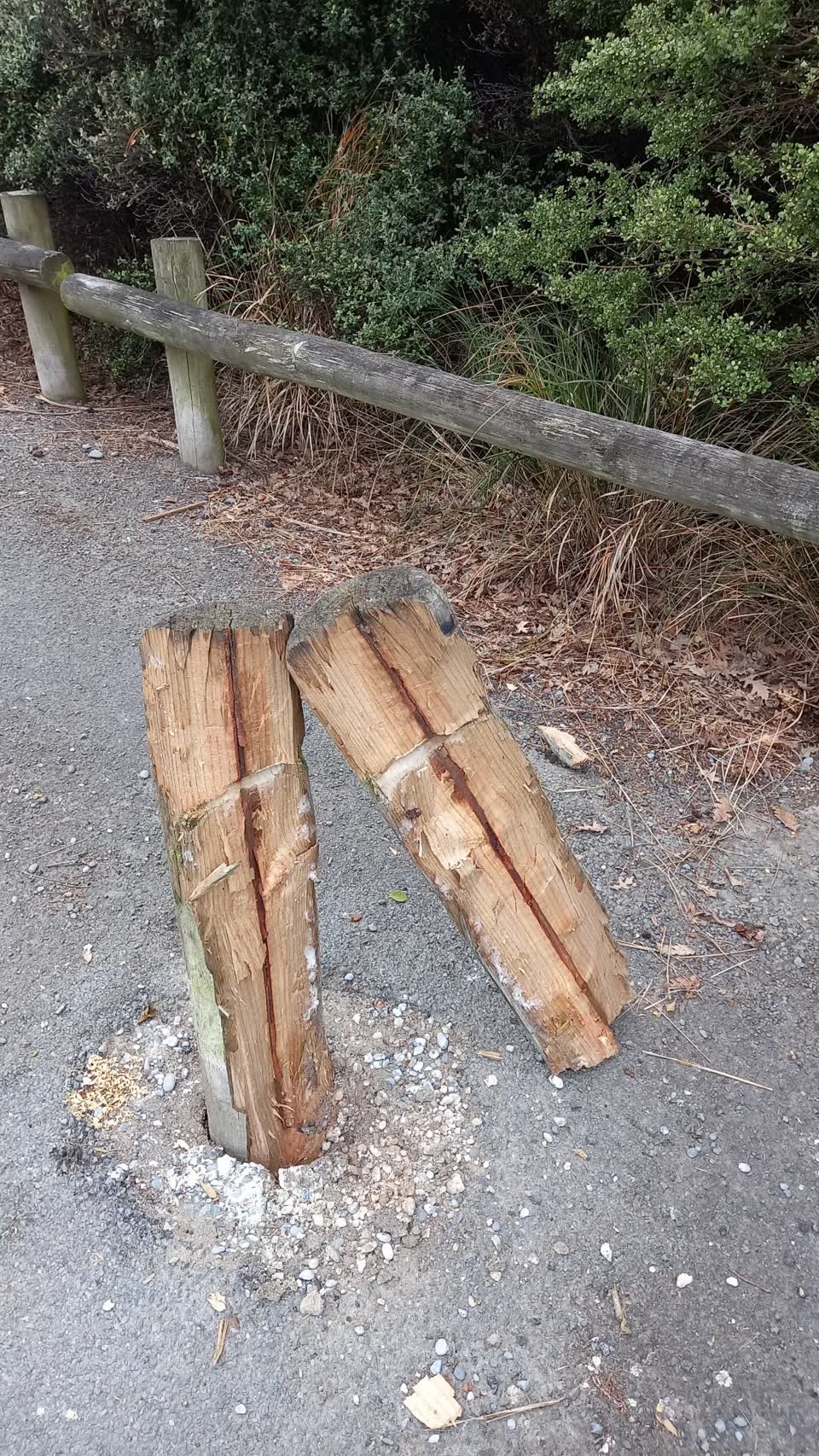 The photograph attached to this parks report