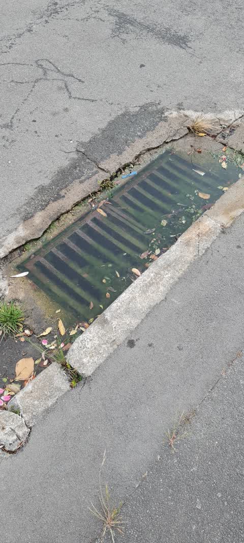 Wastewater/Stormwater, a report photo