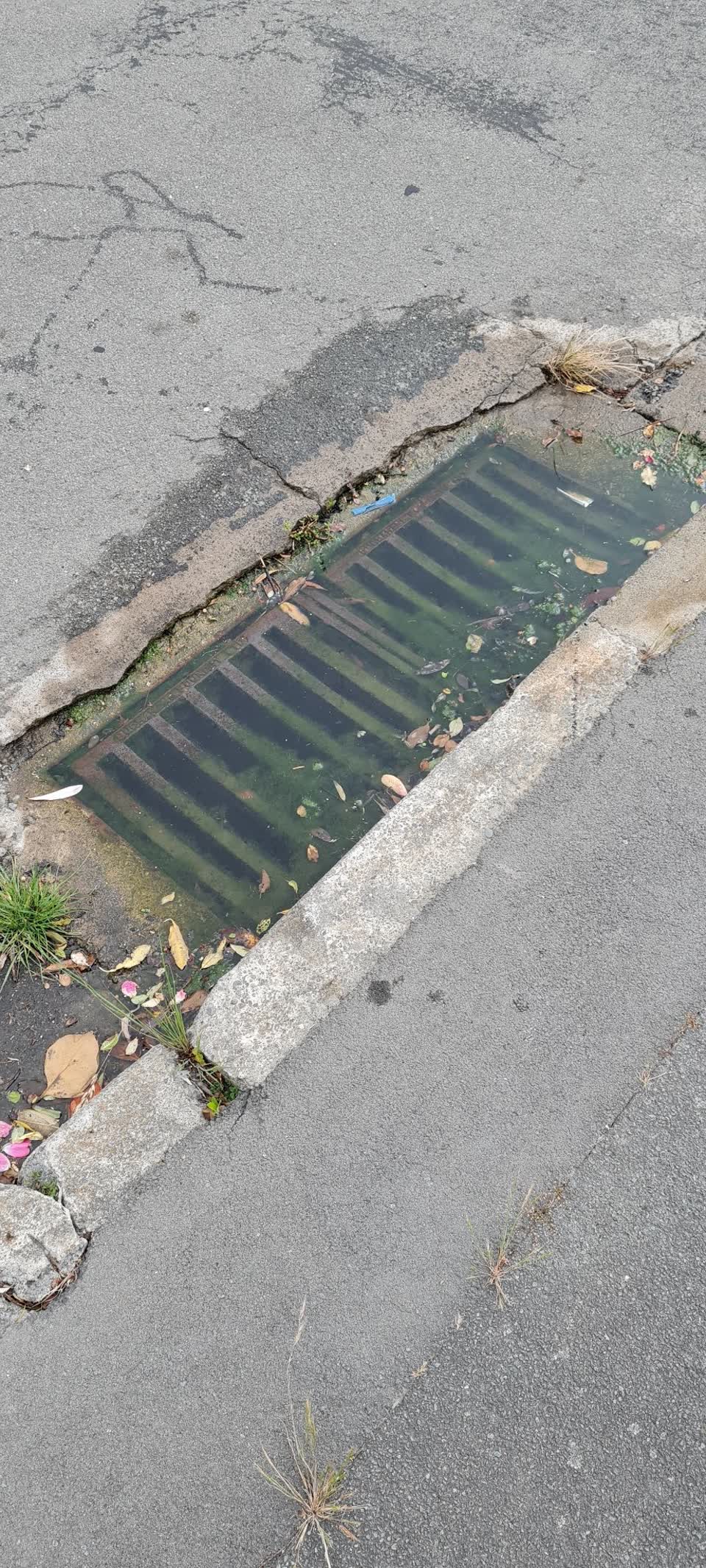 The photograph attached to this wastewater/stormwater report