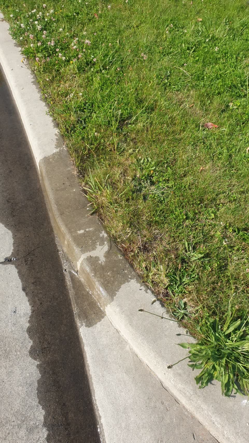 The photograph attached to this water leak report