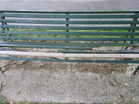 Parks, a report photo