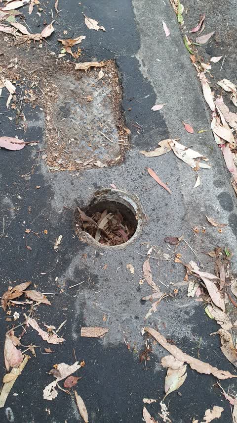 Water Supply, a report photo