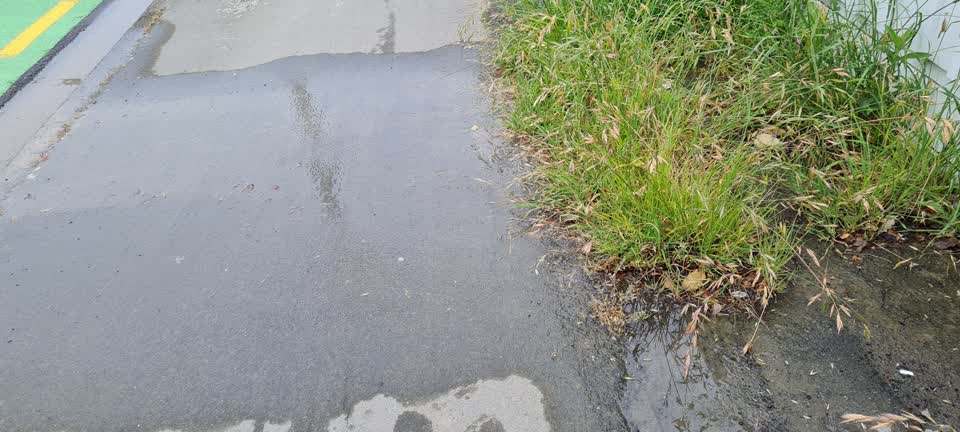 The photograph attached to this water leak report