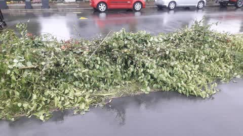 Parks, a report photo