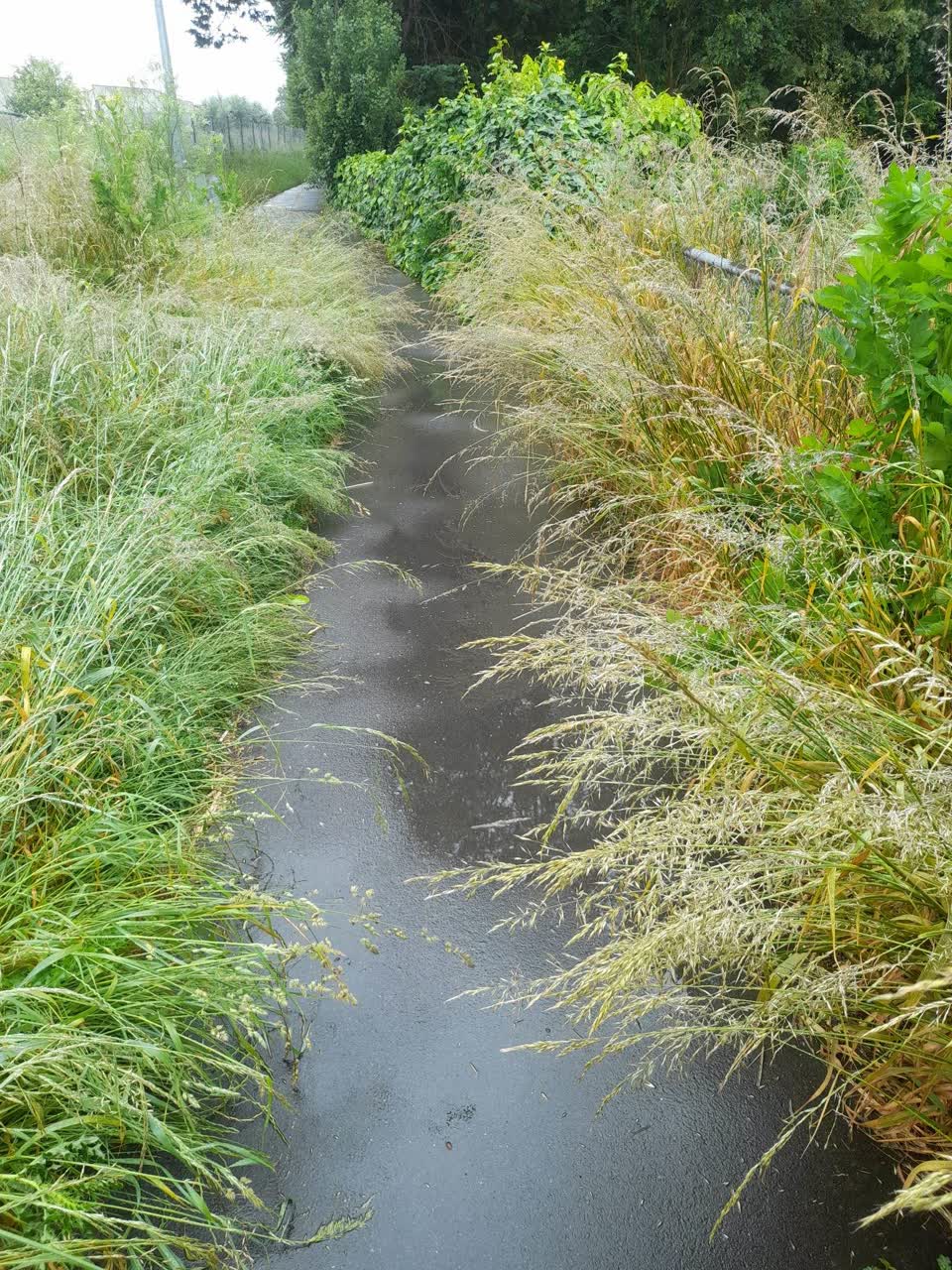 The photograph attached to this parks report