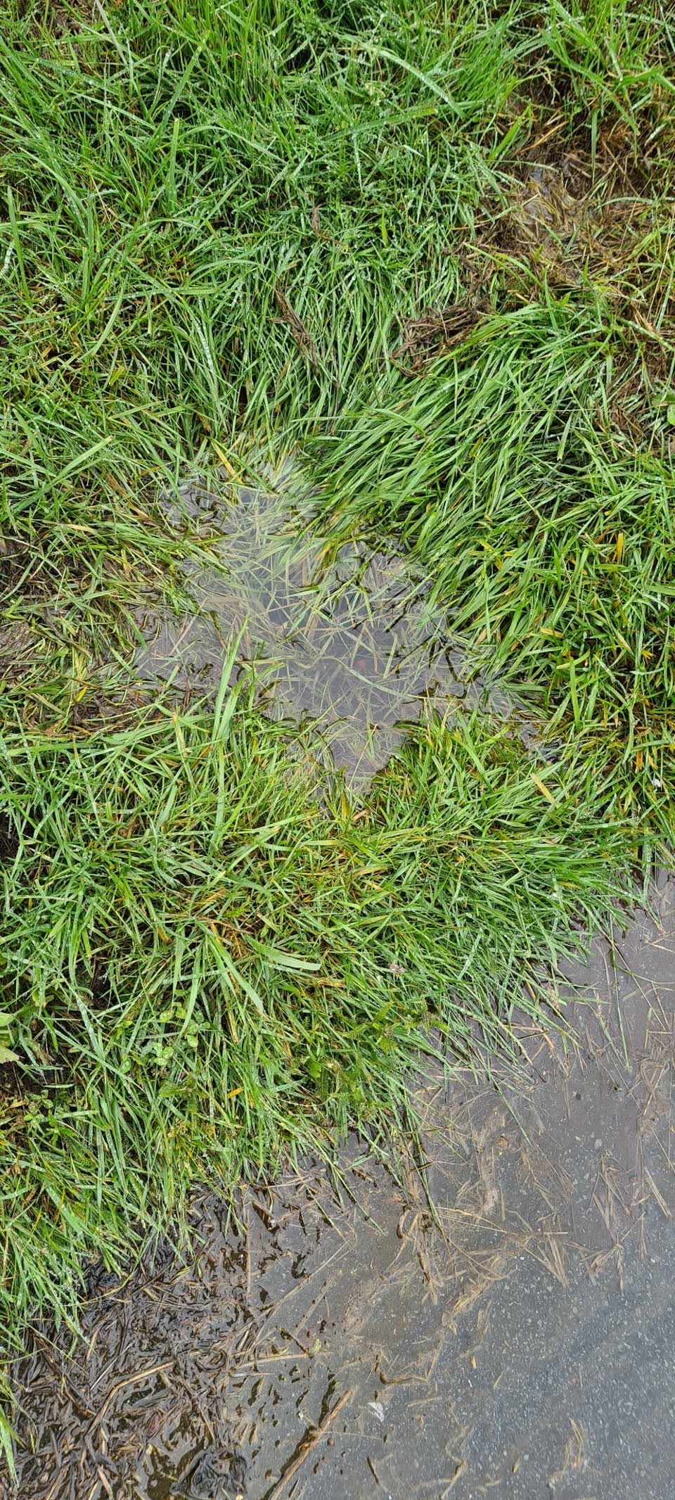 The photograph attached to this water leak report