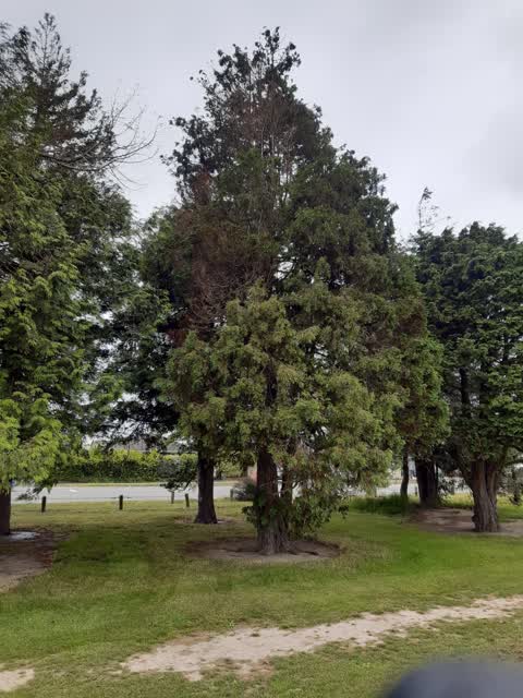 Parks — a report photo