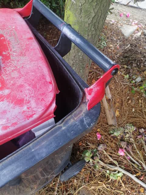 Rubbish/Recycling, a report photo