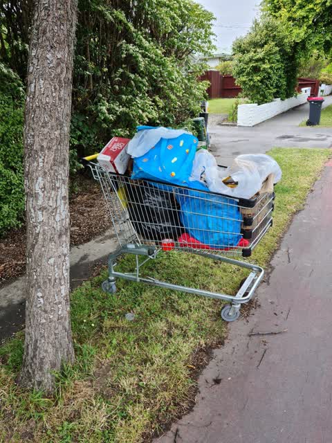 Rubbish/Recycling, a report photo
