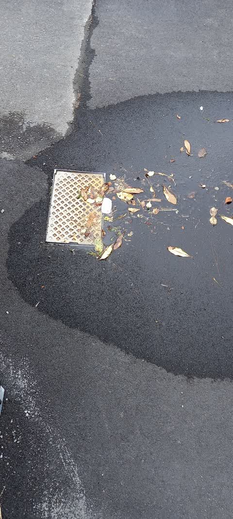Water Leak, a report photo
