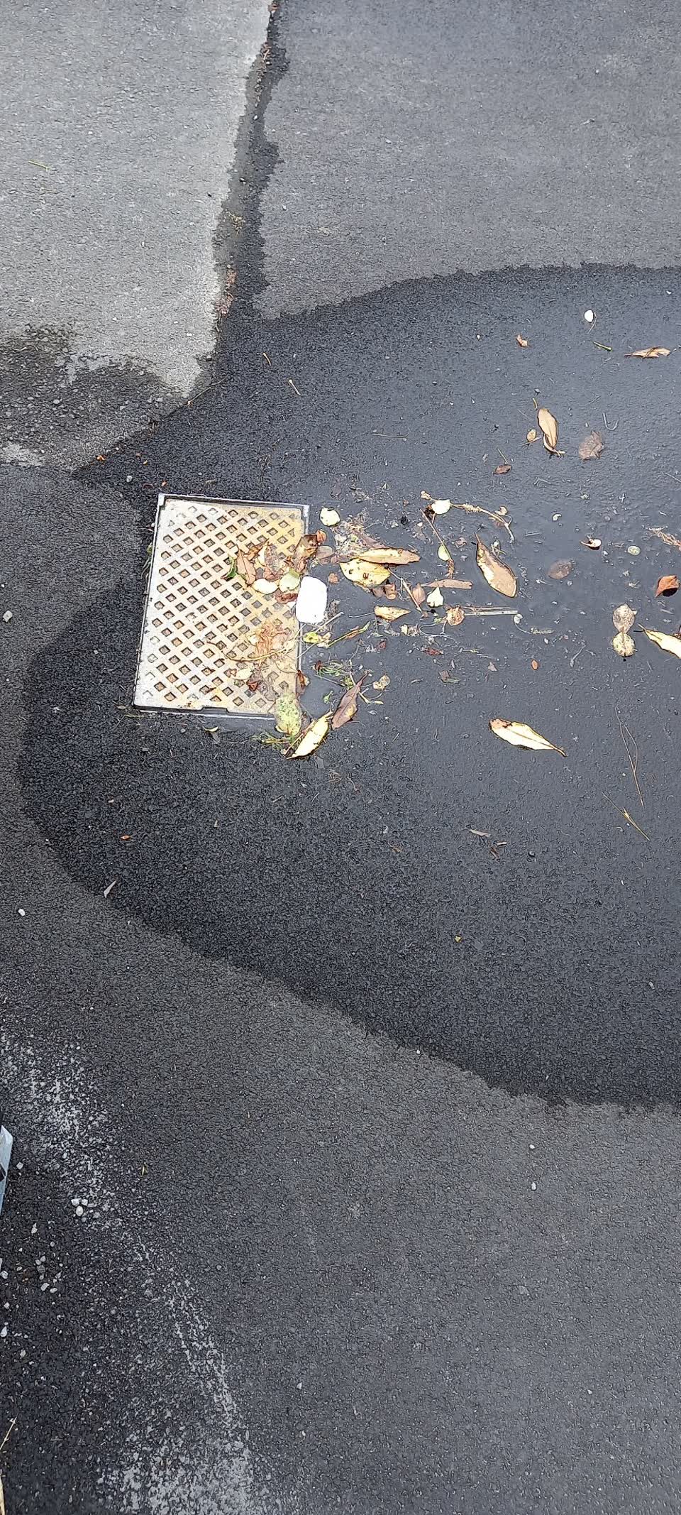 The photograph attached to this water leak report