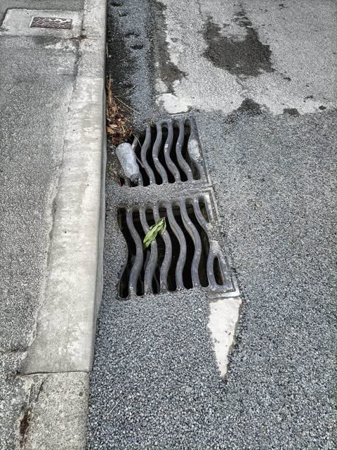 Wastewater/Stormwater, a report photo