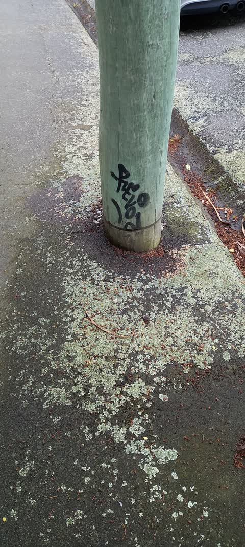 Graffiti, a report photo